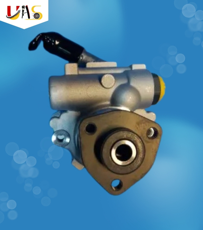 BMW Car Power Steering Pump X1