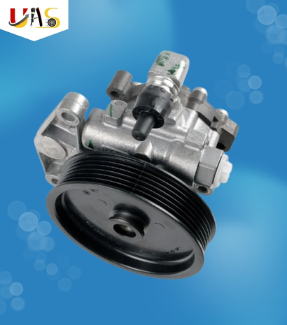 BMW Car Power Steering Pump X1