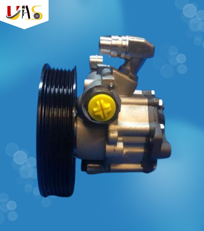 BMW Car Power Steering Pump X1