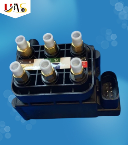 BMW X1 Airmatic Valve