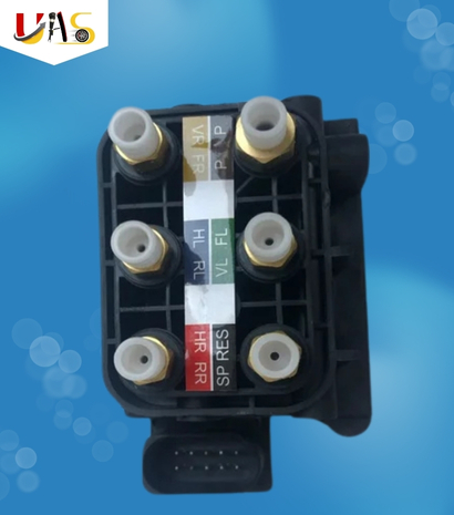BMW X1 Airmatic Valve